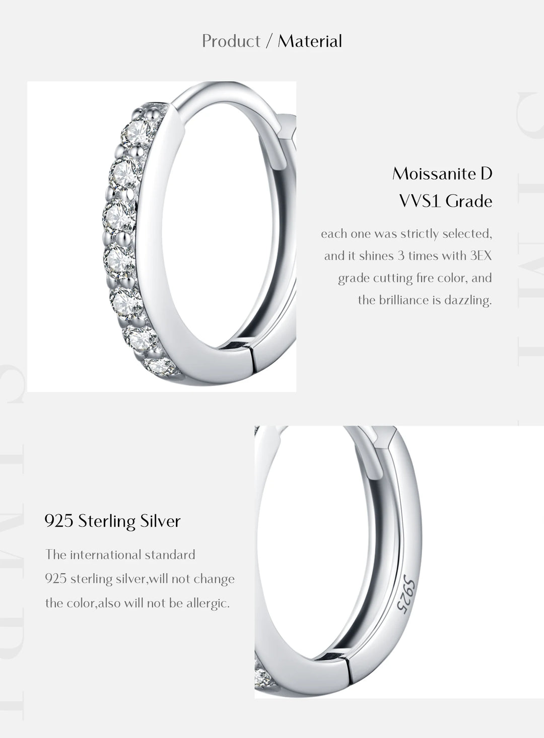 Eternal Spark Moissanite Hoops Earrings